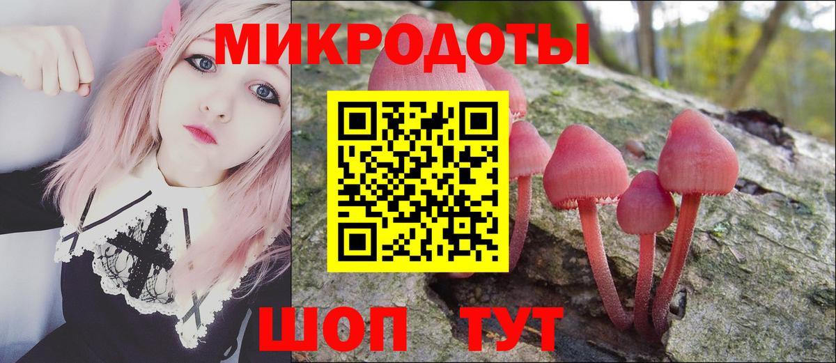 Псилоцибиновые грибы прущие грибы Похвистнево